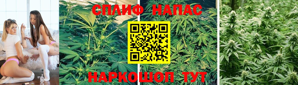 Конопля конопля Курчатов